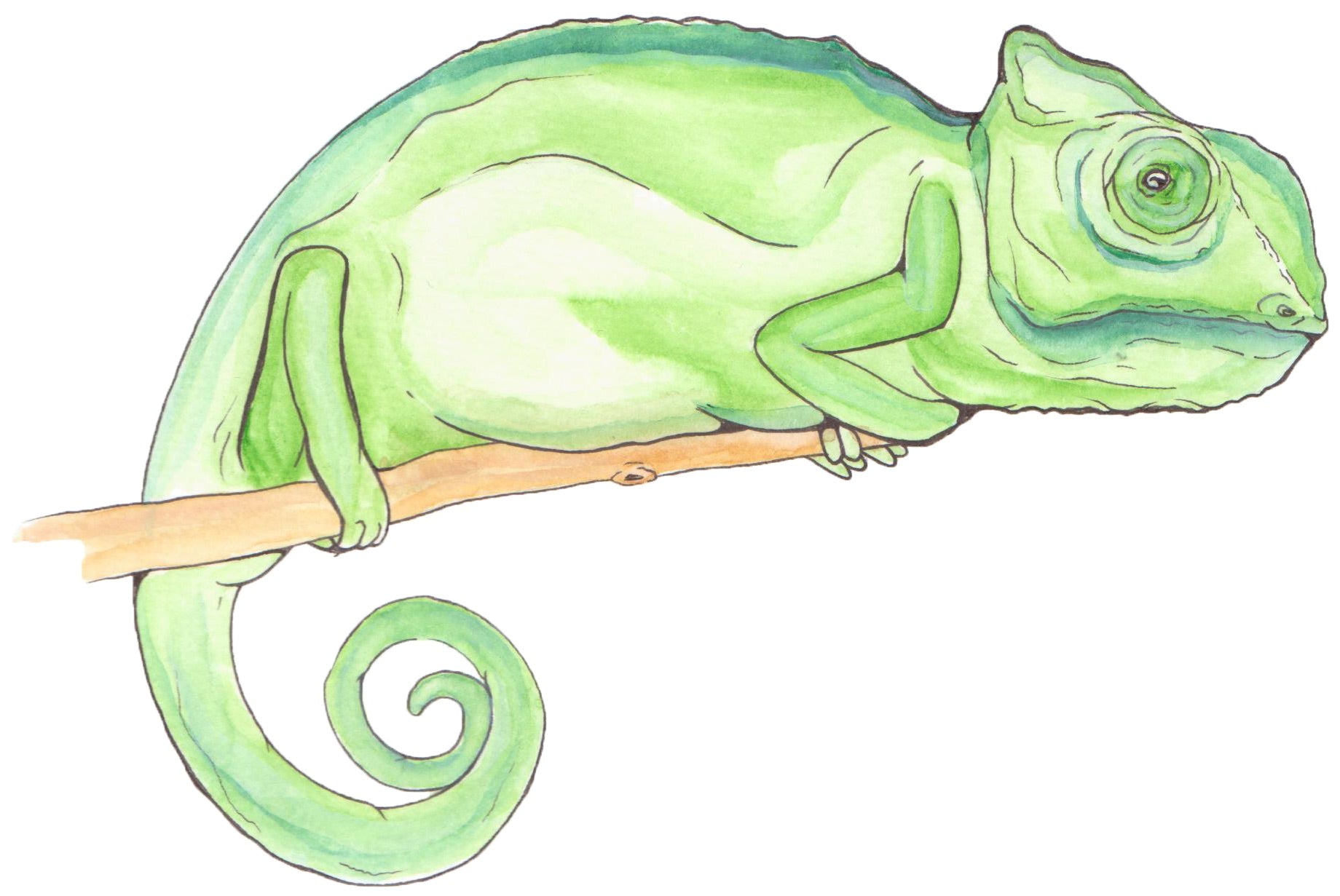 LAKOR slideshow image