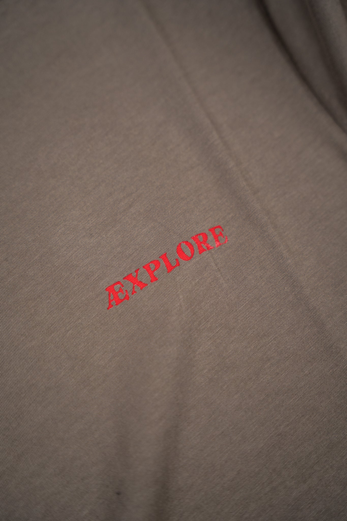 Bear Burrito T-shirt (Morel)