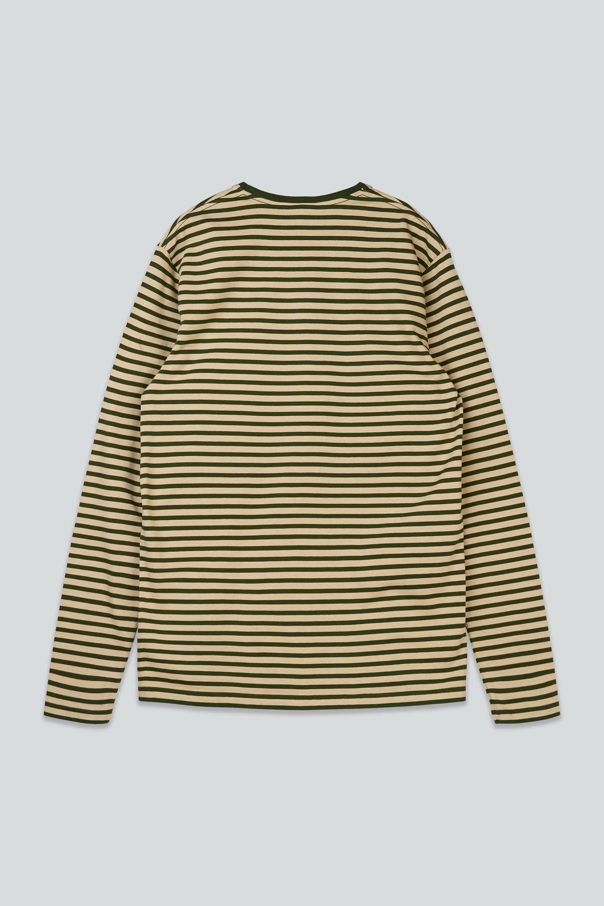 Ahoy! Mini Sea Parrot Surf - White Pepper/Rifle Green
