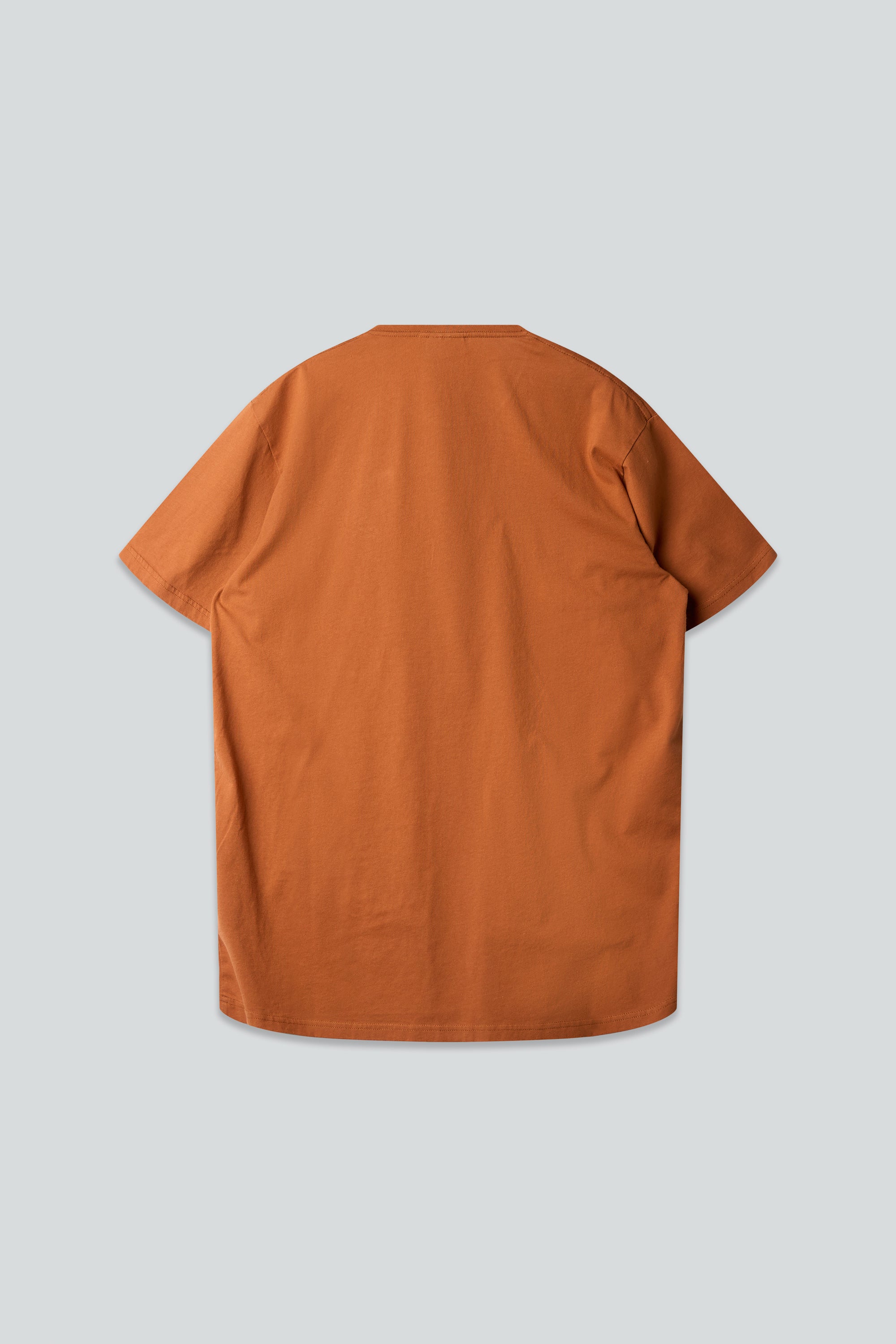 Seagull in a Cup T-shirt (Mocha Bisque)