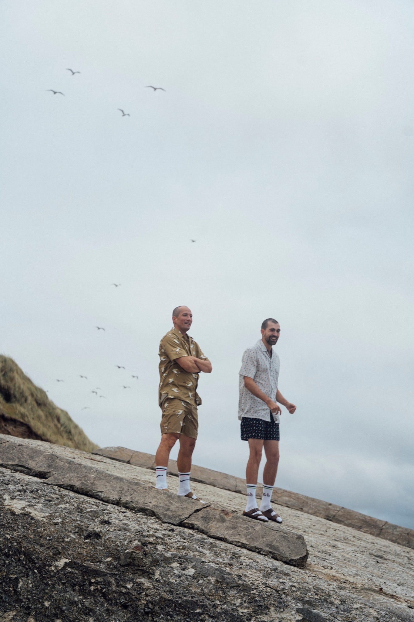 Sandpiper Shorts - Starfish