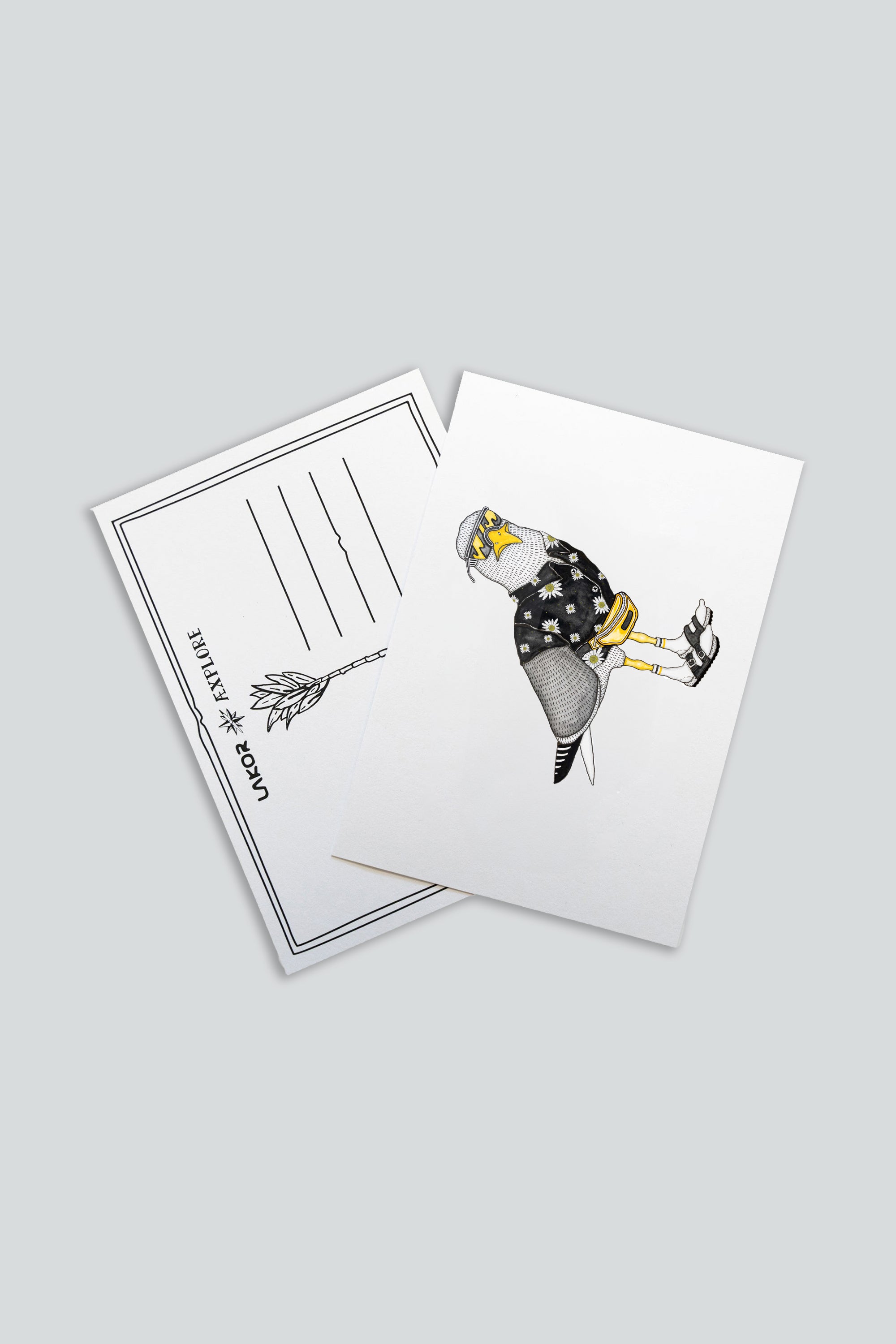 Sightseer Seagull Postkarte
